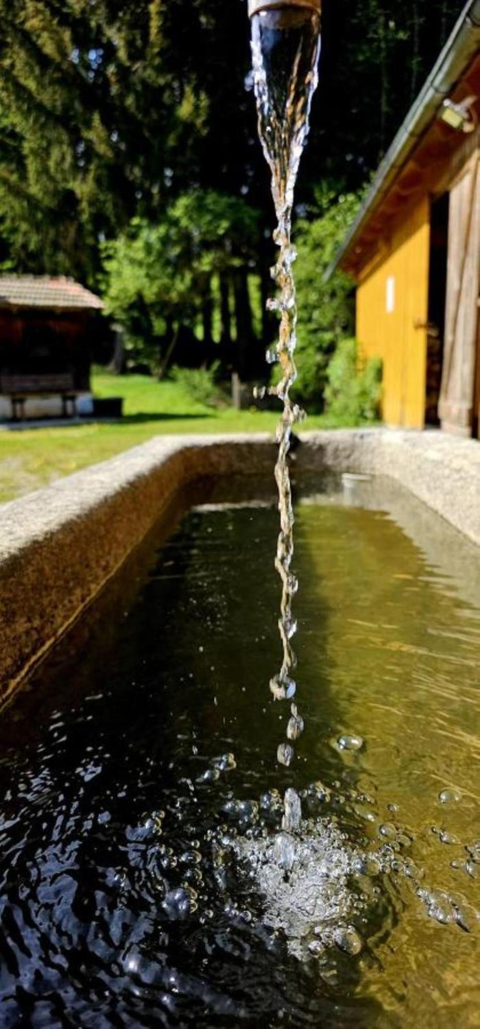 Chalet Waldstadl, Andrea'S Woidhaisl Arnbruck Ngoại thất bức ảnh